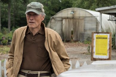 The Mule Review SpicyPulp