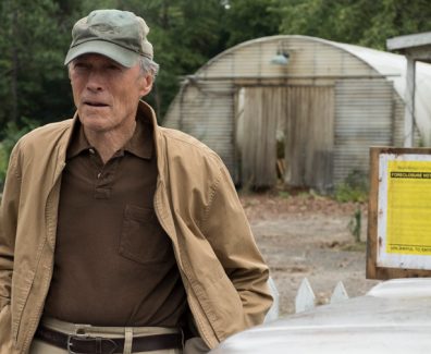 The Mule Review SpicyPulp
