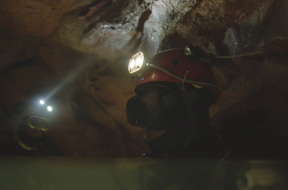 The Rescue Review SpicyPulp