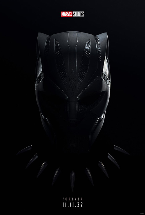 Black Panther Wakanda Forever Poster SpicyPulp