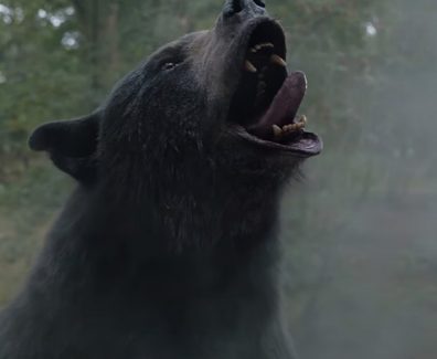 Cocaine Bear Trailer SpicyPulp