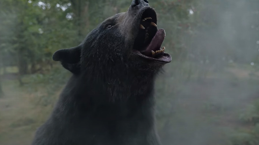 The first trailer for ‘Cocaine Bear’ is here