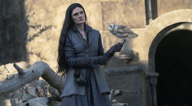 House of the Dragon Season Two Episode Six Review SpicyPulp
