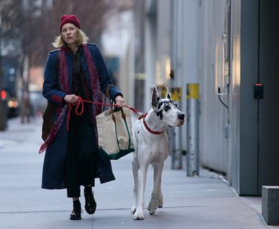 The Friend Review SpicyPulp