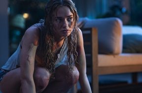 Primate Giveaway SpicyPulp