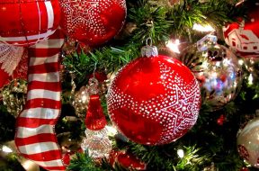 SpicyPulp Christmas Gift Guide 2025