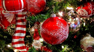 SpicyPulp Christmas Gift Guide 2025