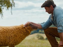 The Sheep Detectives Official Trailer SpicyPulp