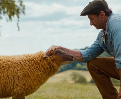 The Sheep Detectives Official Trailer SpicyPulp