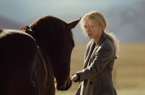 The Madison Review SpicyPulp