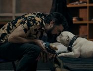 The Boys One Shots Season Five Review SpicyPulp