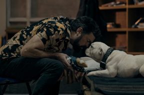 The Boys One Shots Season Five Review SpicyPulp