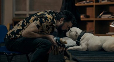 The Boys One Shots Season Five Review SpicyPulp