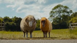 ‘The Sheep Detectives’ – Fleece, Lies & Alibis in the Year’s Most Delightfully Offbeat Woolly Whodunnit – Review