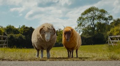 The Sheep Detectives Review SpicyPulp