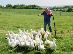 Clarksons Farm Season Five Review Prime Video SpicyPulp
